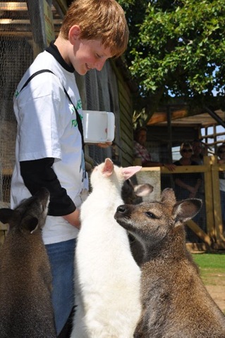 [Lachlan%2520with%2520Wallabies%2520DSC_0454%255B8%255D.jpg]