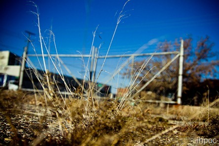 IMG_8960 IMG_8960