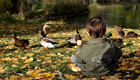 [DSC_0253-1%255B5%255D.jpg]