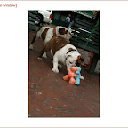 bleecker6ave.5.jpg