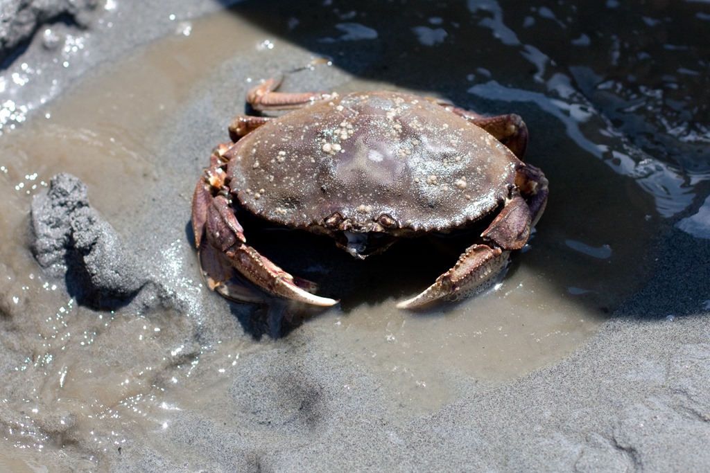 [20130712-IMG_3428%255B12%255D.jpg]