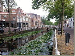 Water Lillies Delft Canal (Small)