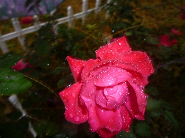 [P10102042.jpg]