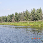 DSCN8211.JPG