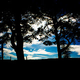 SONY DSC