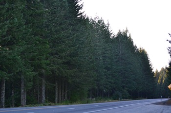 DSC_1725 DSC_1725
