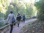 http://lh3.ggpht.com/-Ixqxf3mHgnQ/TqK7ha1nTnI/AAAAAAAACFA/TXm4C7o9mRw/Saarburg%252520%252528152%252529.JPG