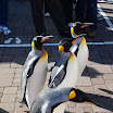 hokkaido_322.jpg