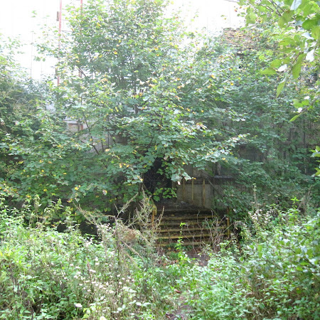 IMG_2104.JPG