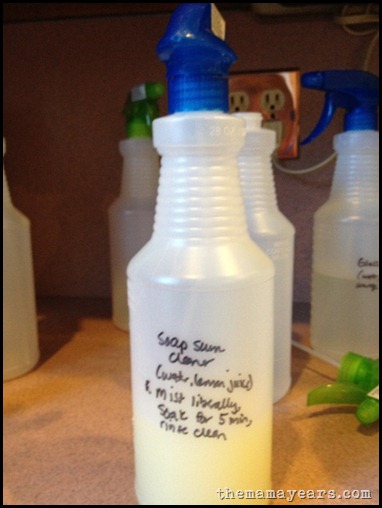 Homemade cleaning soln 5