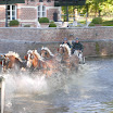 DSCN4911.JPG