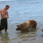 The PIGS who decided to swim with us!