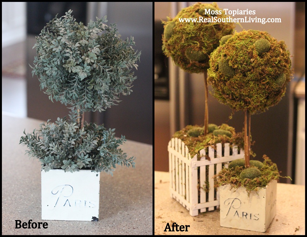 [Topiaries%2520001%255B4%255D.jpg]