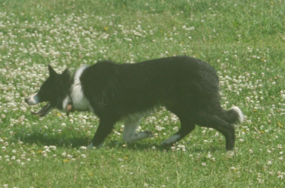 [IMG_8100%255B3%255D.jpg]