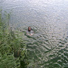 hello :D dsc01946.jpg