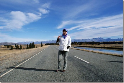 mt cook