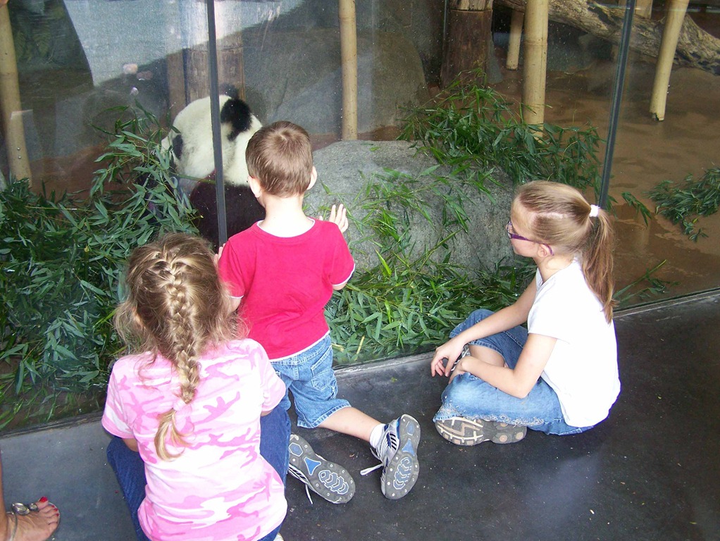 [Zoo103.jpg]