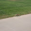 DSCF9136.JPG