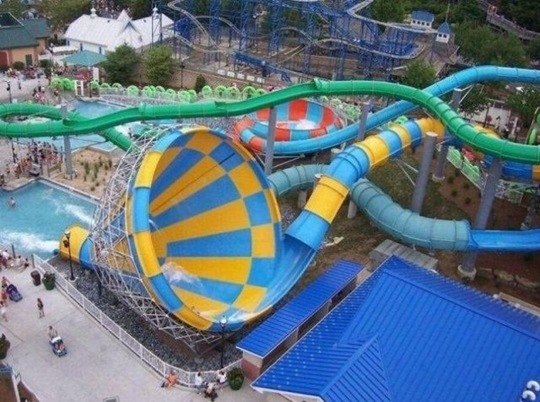 [viral-picdump-pics-10%255B2%255D.jpg]