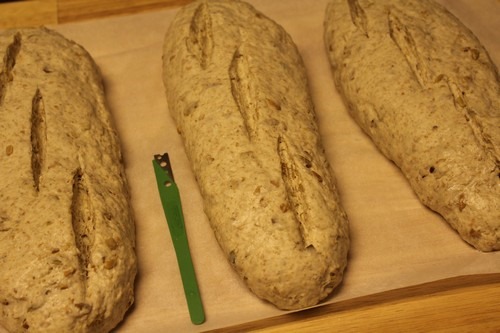 [rye-sourdough-pumpkin-sunflower-seeds030%255B5%255D.jpg]