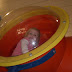 2009 02