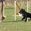 IMG_7755.JPG