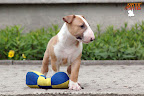 Karmacoma Superstylin' 7 weeks