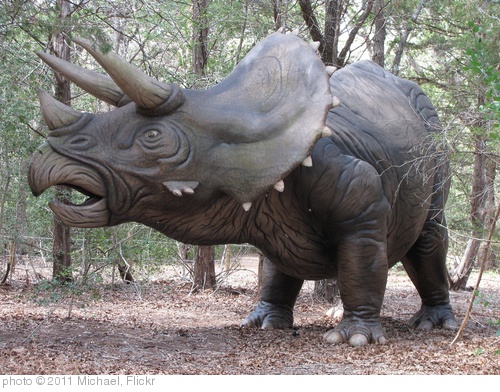 'triceratops' photo (c) 2011, Michael - license: http://creativecommons.org/licenses/by-sa/2.0/