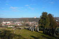 P1090761.JPG