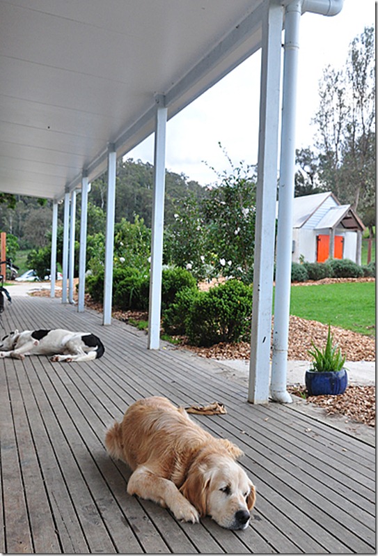 eastverandah