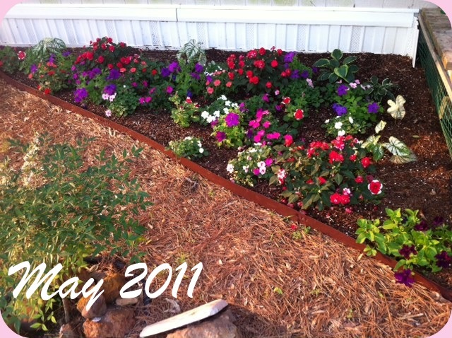 [Garden%2520after%2520month%2520-%2520altered%255B3%255D.jpg]