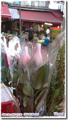 20110630072_n