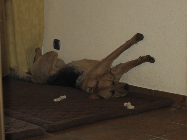 [IMG_0928%255B3%255D.jpg]