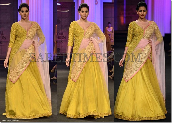 Pallavi_Jaikishan_Saree