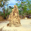 Termite Mound - Darwin, Australia