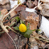 dsc06542.jpg