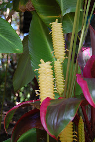 DSC_0269.jpg