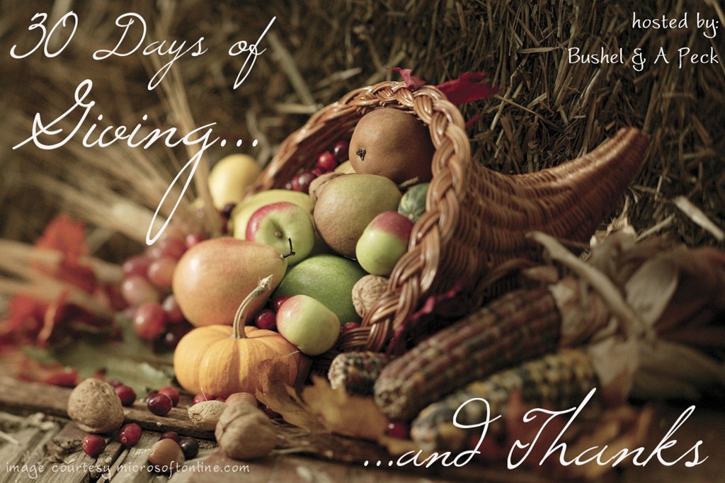 [30%2520Days%2520of%2520Giving%2520and%2520Thanks%255B5%255D.jpg]