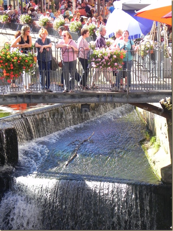 Saarburg 16 Saarburg 16