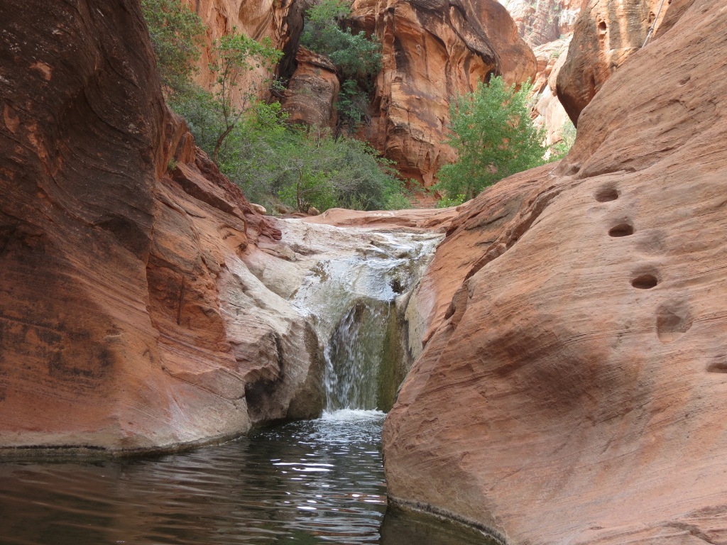 [zion_red_can_2nd_waterfallb7.jpg]