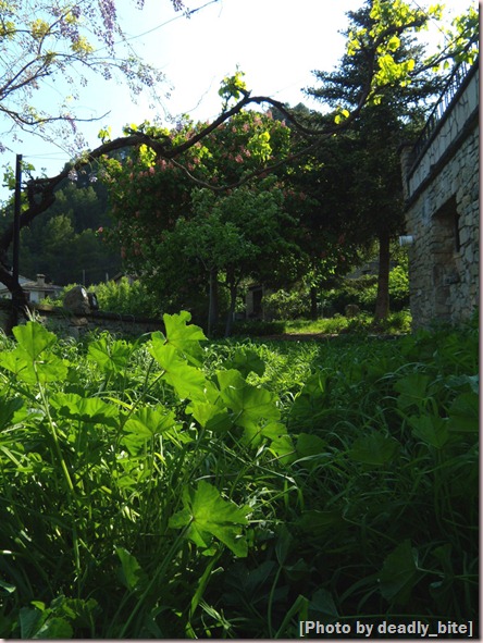 "Primavera en Rocafort"; D.B., 03/05/09 17:23 "Primavera en Rocafort"; D.B., 03/05/09 17:23