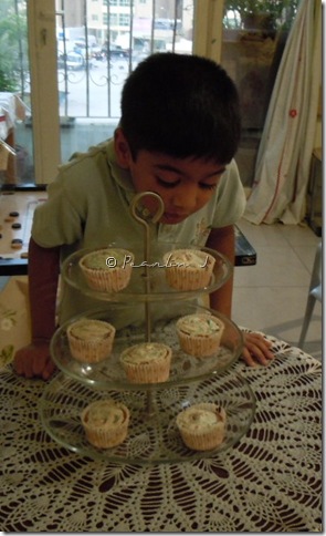 DSCN1730 DSCN1730