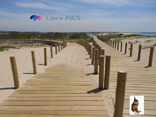 [Bolg%2520Gazeta%2520de%2520Espinho003%2520Livro%2520MCS%255B2%255D.jpg]