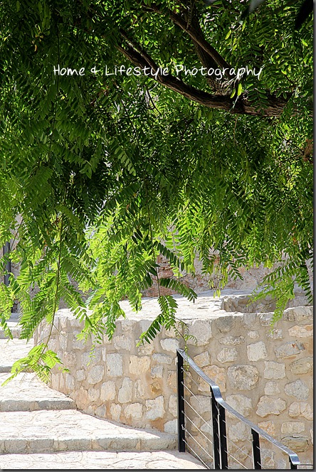 Home & Lifestyle IMG_1495a-1
