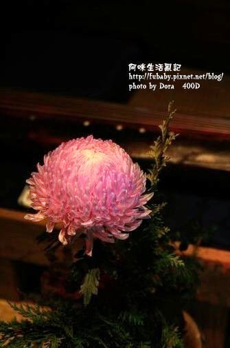 49c7861a1ed17 49c7861a1ed17