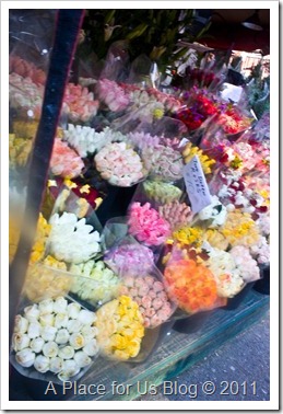 IMG_0898_2905