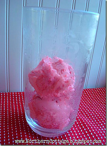northern cottage raspberry fizz scoop