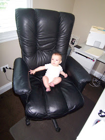 bryce-office-chair-7-23-07.jpg