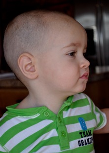 [DSC_9226%255B4%255D.jpg]