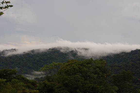 La Montagne de Cacao au coucher du soleil, depuis la piste de Coralie, 2 novembre 2012. Photo : J.-M. Gayman